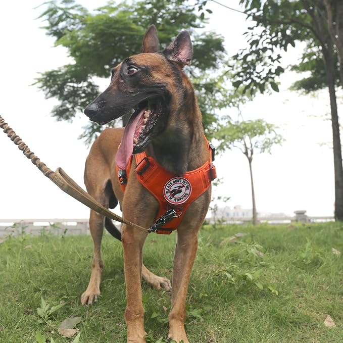 ICEFANG Tactical Dog Harness for X-Large Dogs,Reflective No Pull Dog Vest | with Control Handle,Adjustable,Front Hook,2 Leash Clips,Soft Padded,MOLLE Panel,Orange,X-Large