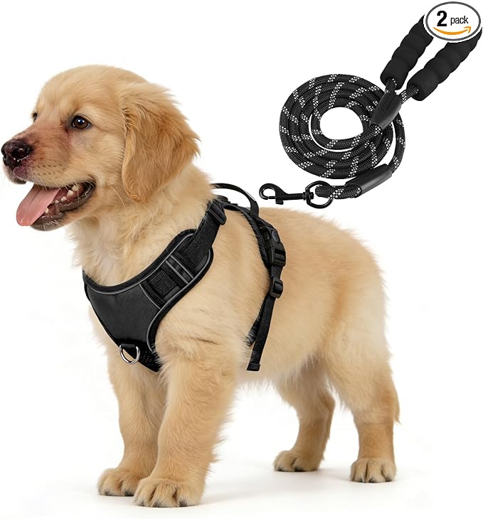 YooxArmor No Pull Tactical Dog Harness and Leash Set for Small Dogs,Black | Adjustable Pet Vest Harness, Reflective Easy Control for Night Walking Training