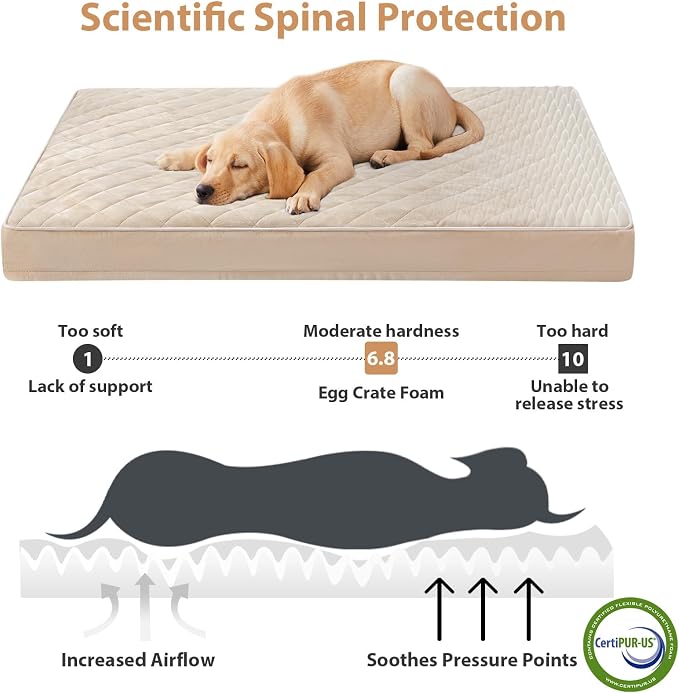WNPETHOME Orthopedic XXL Dog Beds for Large Senior Dog Bed Comfy Sleeping | XXL Washable Waterproof Dogs Bed with Removable Cover, Multi-Needle Quilting Dogs Crate Bed for Relax , Beige 55x42 Inch