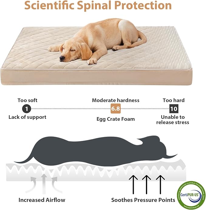 WNPETHOME Orthopedic XXL Dog Beds for Large Senior Dog Bed Comfy Sleeping | XXL Washable Waterproof Dogs Bed with Removable Cover, Multi-Needle Quilting Dogs Crate Bed for Relax , Beige 47x29 Inch