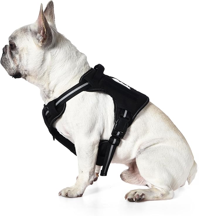 Amazon Basics No-Pull Dog Harness, Adjustable Front Clip, Escape Proof Tactical Vest, Medium, Black