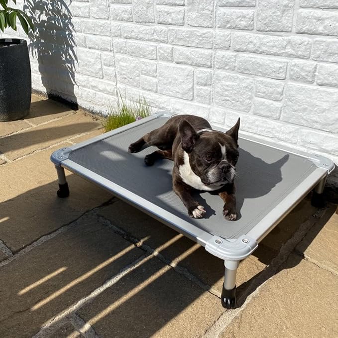 Veehoo Chew Proof Elevated Dog Bed, Cooling Raised Pet Cot, Silver Aluminum | Indestructible Dog Bed with Durable Textilene Mesh Fabric, No-Slip Feet for Indoor or Outdoor Use, 32", Medium, Grey
