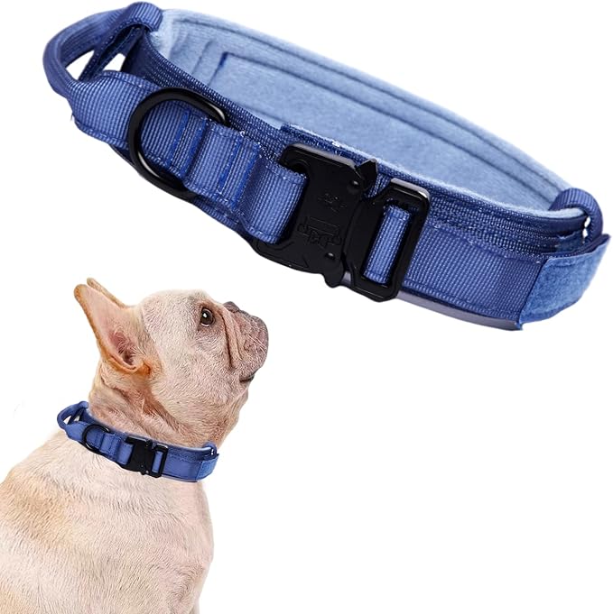 Tactical Dog Collar for Large Dogs with Control Handle,Dark Blue,S | 1000D Heavy-Duty Nylon Fabric,Quick-Release Metal Buckle,Adjustable Fit,Soft-Padded Webbing,D-Ring,for Training & Hiking