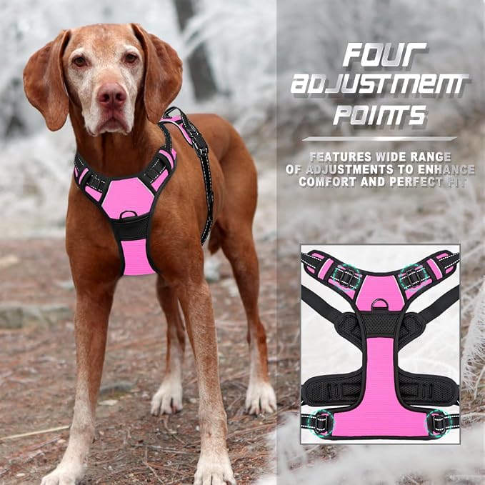 BARKBAY Dog Harness No Pull for Medium Sized Dog Front Back Clips,Dog Vest | Soft Padded No Choke With Handle,Easy On&Off,Adjustable Reflective For Walking Training Running(Pink,M)