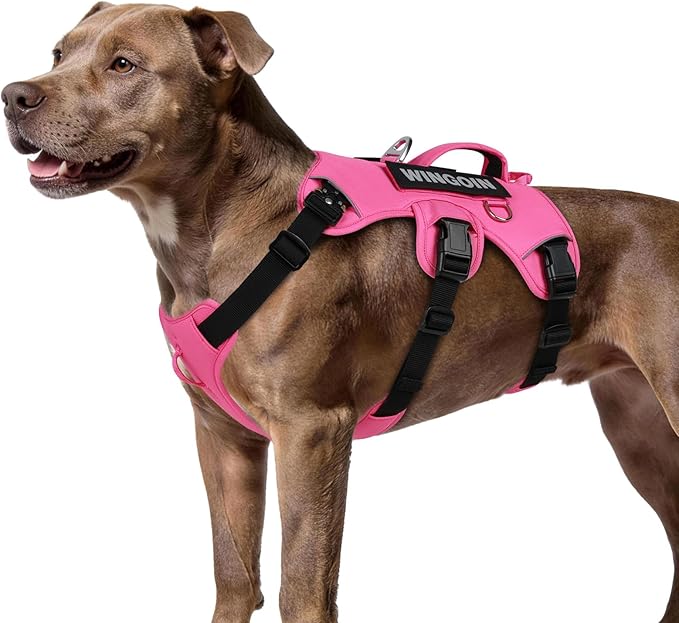 WINGOIN No Escape Dog Harness,Heavy Duty Harnesses for Large Dogs | Adjustable Pet Harness ,with Handle, Leash Front Clip Dog Vest ,for Walking Hiking, Hotpink M