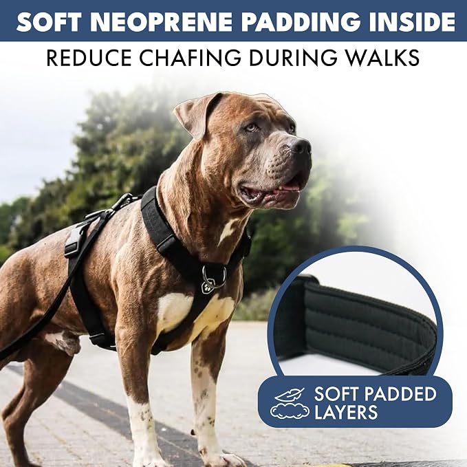 Spark Paws Comfort Control No Pull Dog Harness - Heavy Duty Front Clip | Safety Tested for Strong Breeds, w/ Metal Buckle & Top Handle – Padded Y-Straps Redirect Pulling. Solo or Matching Leash Set