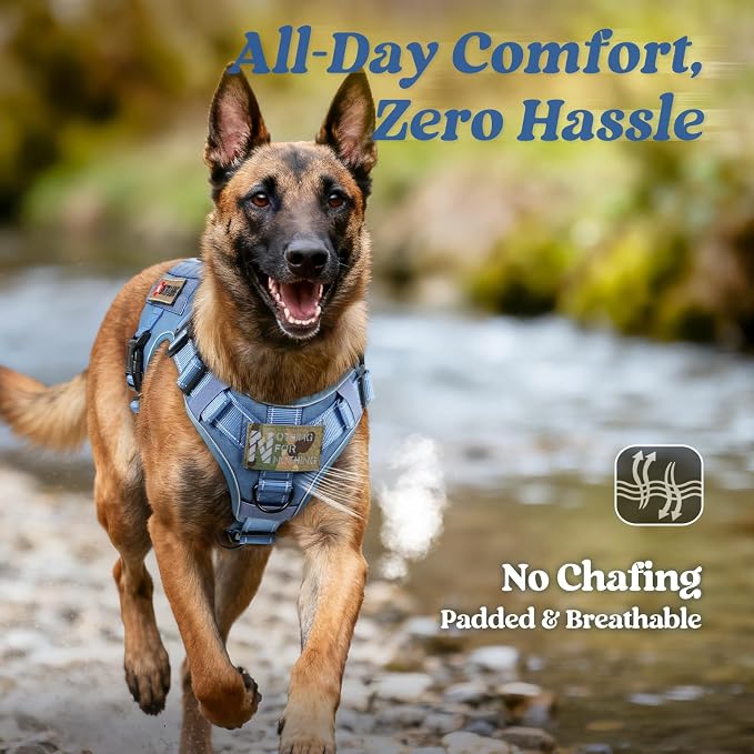 rabbitgoo Tactical Dog Harness X-Large, Heavy Duty Military No Pull Vest | Sturdy Metal Buckles, 5 Adjustments, Molle System, Powerful Pullers for Training, Hunting, Outdoor, Blue Reflex, X-Large