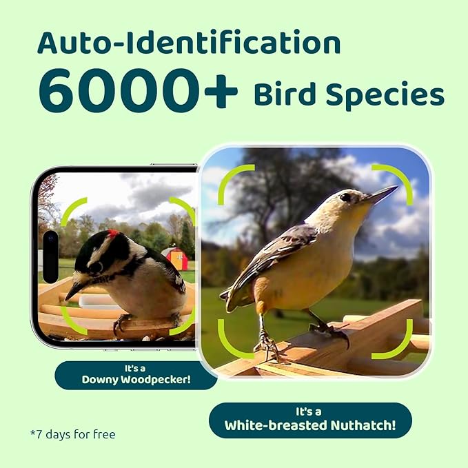 NETVUE by Birdfy Smart Bird Feeder with Camera Solar Powered 2K Live Steam&AI Bird Species Identification&Motion Detection,Birds Watching Wood Feeder for Chistmas Gift for mom,Children and Myself