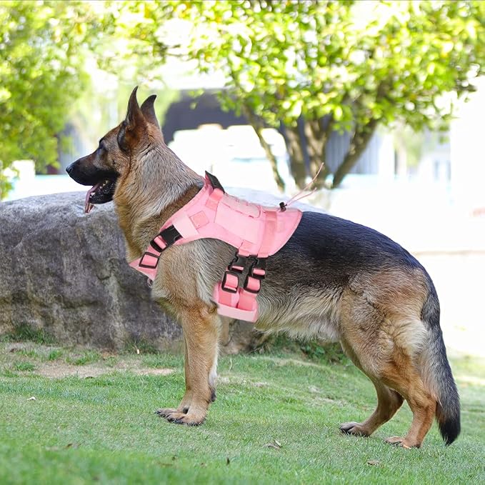 Tactical Dog Harness for Medium Large Dogs No Pull, Military Dog Harness with Handle,Service Dog Vest with Molle & Loop Panels, Adjustable Pet Harness for Training Hunting Walking…