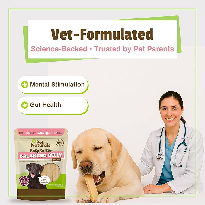 Pet Naturals BusyButter Balanced Belly Peanut Butter Bones, Rawhide-Free Chews for Medium/Large Dogs, Long Lasting Chew Bones, Probiotics & Pumpkin for Gut Health, 4 Count