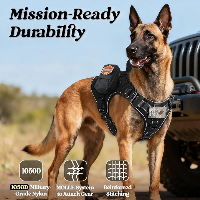 rabbitgoo Tactical Dog Harness for Small, Heavy Duty Military No Pull Vest | Sturdy Metal Buckles, 5 Adjustments, Molle System, Powerful Pullers for Training, Hunting, Outdoor, Black Reflex, Small