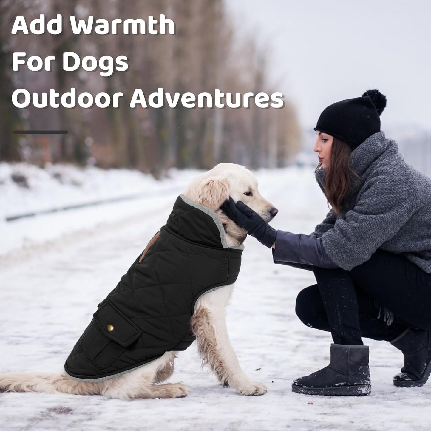 Queenmore Dog Winter Coat Warm Puffer Jacket Waterproof Plush Lining Thermal Cold Weather Vest for Small Medium Large Dogs, Windproof Easy On Pet Jacket Black L