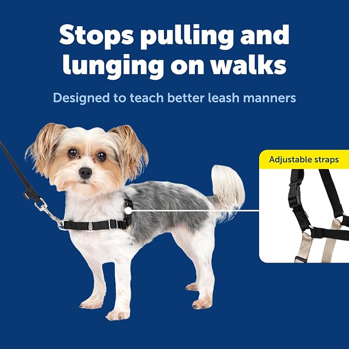 PetSafe Easy Walk Harness, No Pull Dog Harness, Black, Petite/Small | Patented Martingale Loop Gives Gradual Shoulder Pressure to Stop Pulling, Front-Chest Leash Clip Prevents Gagging