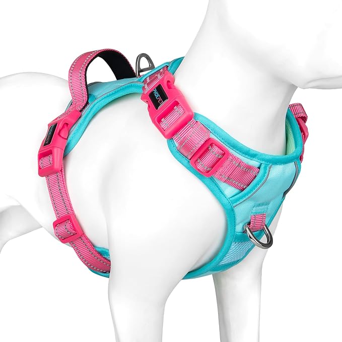 No Pull Dog Harness, Unique Colors Reflective Adjustable Dog Vest | with Soft Training Handle Metal Clips for Small Medium Large Dogs (Mint Green Base & Pink Straps,L)