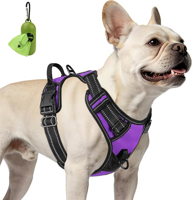 Joytale No Pull Dog Harness for Small Dogs, Front Clip, Purple | Grab Handle for Instant Control, Padded & Adjustable Vest, Sturdy Metal D-Rings, for Safe Training & Daily Walking