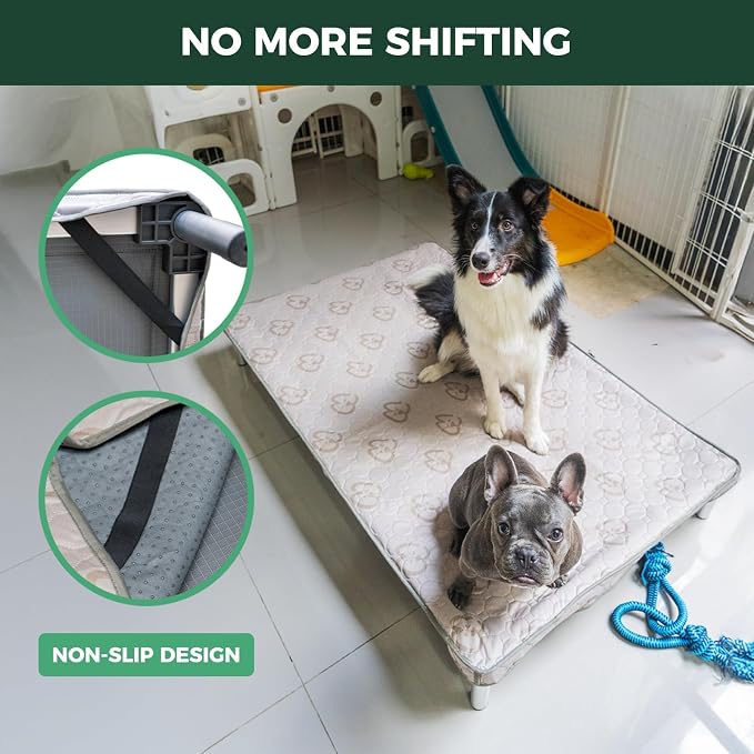 FXW TitanNest Cooling Chew-Proof Elevated Dog Bed with Cover for Medium Dogs | Easy to Clean, Pre-assembly Elevated Cot, Indoor/Outdoor/Camping, 41 x 27 x 5.0in