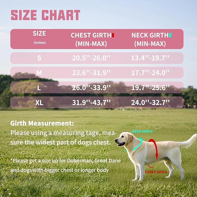 AUROTH Dog Harness and Leash Set for Large Sized Dog, No Pull Dog Vest | with Leash Clips, LED light clip, Soft Padded No Choke, Escape Proof, Easy Walking and Training, Pink, XL