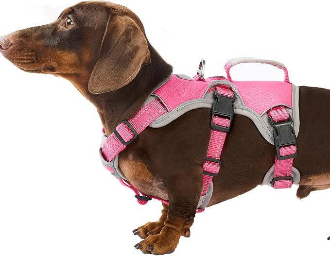 Escape Proof Dog Harness, Dachshund Harness, Reflective Dog Harness with Handle, Durable,Adjustable Vest for Small Medium Large Dogs Walking, Training, and Running Gear (Rose red,S)