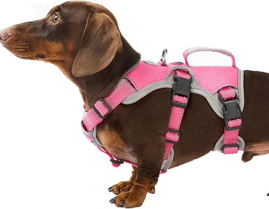 Escape Proof Dog Harness, Dachshund Harness, Reflective Dog Harness with Handle, Durable,Adjustable Vest for Small Medium Large Dogs Walking, Training, and Running Gear (Rose red,S)