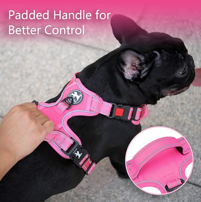 PoyPet No Pull Dog Harness, Reflective Vest with 2 Leash Clips & Handle | Lockable Neck Release Buckle, No Choke, Adjustable, Soft Padded, for Walking Training, Pink Matching Trim, X-Large