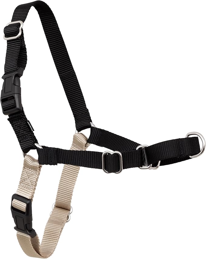 PetSafe Easy Walk Harness, No Pull Dog Harness, Black, Extra Large | Patented Martingale Loop Gives Gradual Shoulder Pressure to Stop Pulling, Front-Chest Leash Clip Prevents Gagging
