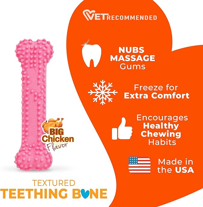 Nylabone Textured Teething Bone Puppy Chew Toy, Chicken Flavor, Pink, X-Small - Up to 15 lbs (1 Count)