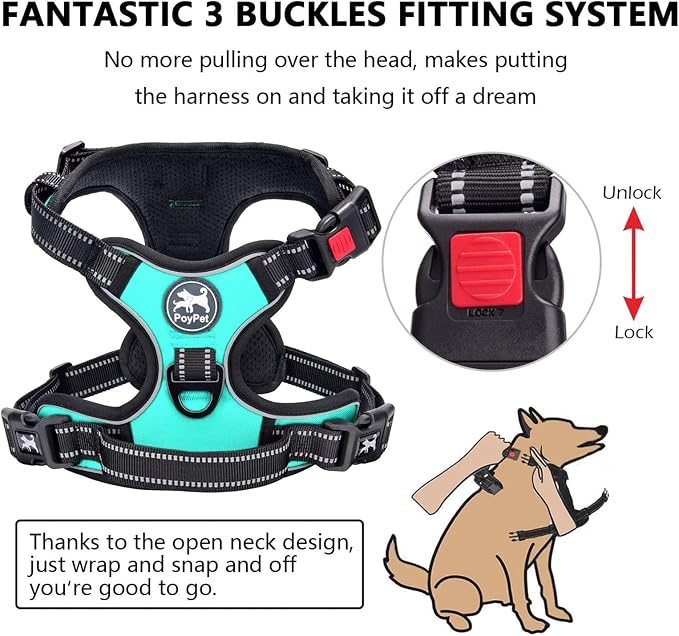 PoyPet No Pull Dog Harness Medium with Front Clip & Neck Release Buckle | No Choke, Adjustable Vest, Reflective, Back Clip, Lockable, Soft Padded Handle for Walking Training, M, Mint Blue