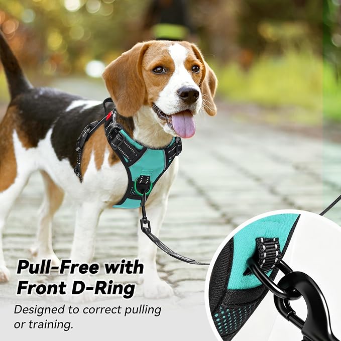 PoyPet No Pull Dog Harness Large with Front Clip & Neck Release Buckle | No Choke, Adjustable Vest, Reflective, Back Clip, Lockable, Soft Padded Handle for Walking Training, XL, Mint Blue