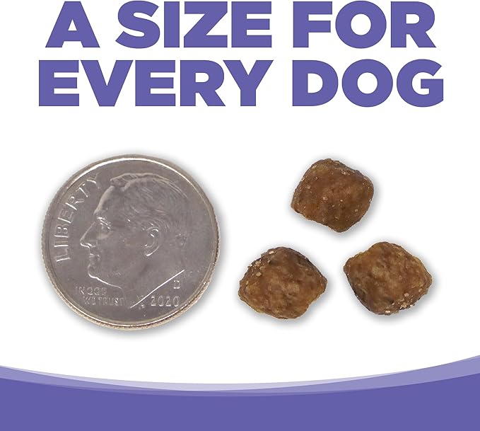 NutriSource Puppy Food for Small and Medium Breeds, Chicken Meal and Rice, 4LB