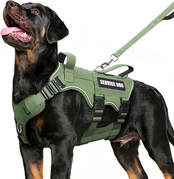 Service Dog in Training Vest and Leash Set+10 Patches,Escape Proof | Heavy Duty Tactical Dog Harness with Metal Buckles for Medium Sized Dogs,No Pull Front Back Clips,for Training Hiking,Green M