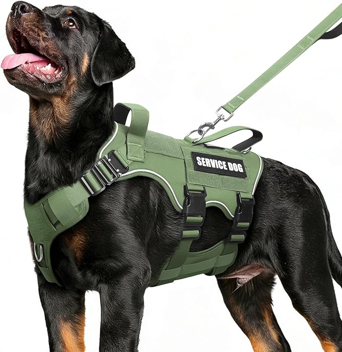 Service Dog in Training Vest and Leash Set+10 Patches,Escape Proof | Heavy Duty Tactical Dog Harness with Metal Buckles for Large Sized Dogs,No Pull Front Back Clips,for Training Hiking,Green L