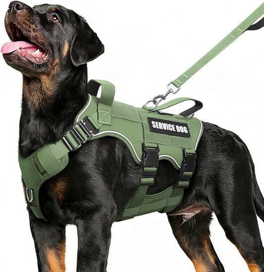 Service Dog in Training Vest and Leash Set+10 Patches,Escape Proof | Heavy Duty Tactical Dog Harness with Metal Buckles for Large Sized Dogs,No Pull Front Back Clips,for Training Hiking,Green L