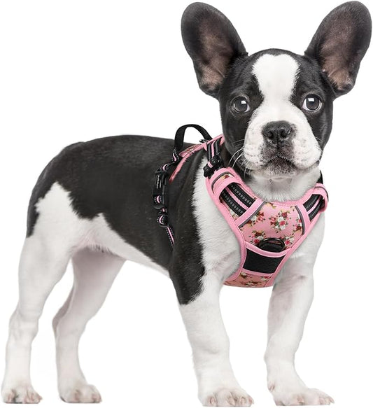 rabbitgoo Dog Harness, No Pull for Small Dogs with 2 Leash Clips, Pet Vest | No Choke with Handle, Adjustable Soft Padded, Reflective, Easy Control for Walking, Pink Rose, Small