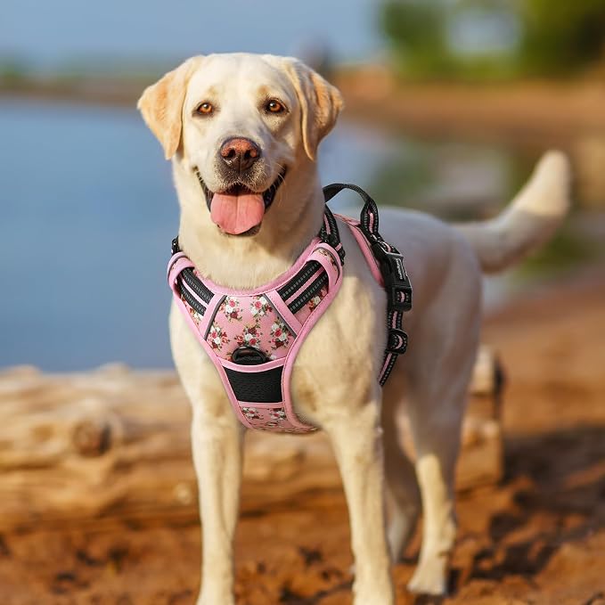 rabbitgoo Dog Harness, No Pull for Small Dogs with 2 Leash Clips, Pet Vest | No Choke with Handle, Adjustable Soft Padded, Reflective, Easy Control for Walking, Pink Rose, Small