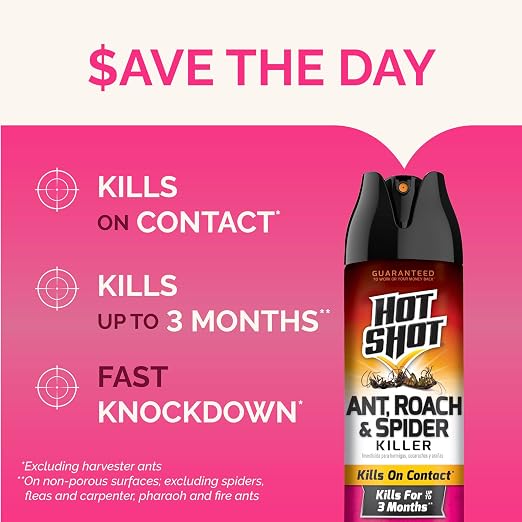 Hot Shot Ant, Roach & Spider Killer, 17.5 Ounces, Kills Roaches and Listed Ants on Contact, Indoor & Outdoor Insecticide Spray, 3 Pack