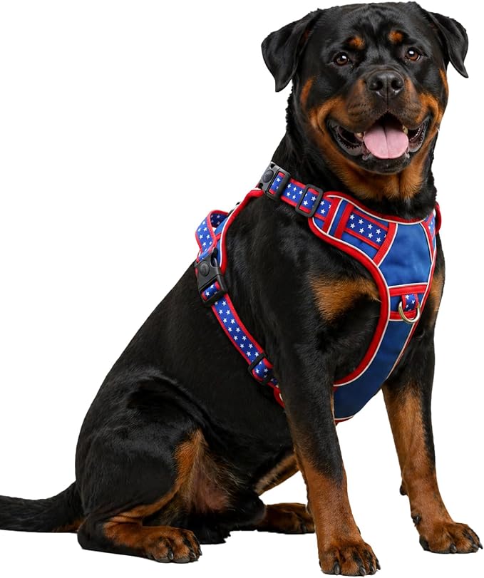XXL Giant Dog Harness, Maximum Control Heavy Duty Training Gear, No Pull Big Doggy Vest with Neck Buckle, Breathable Padded Straps & Strong Handle for Puppy Rottweiler, Great Dane (XX-Large)