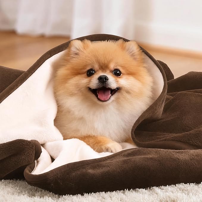 LOOBANI Waterproof Pet Blanket for Couch, Throw Size 50"x60", Coffee | Double-Side Liquid Proof Cozy Flannel, Reversible, Stain-Proof Couch Cover for Small Medium Dogs Bed Crate Furniture