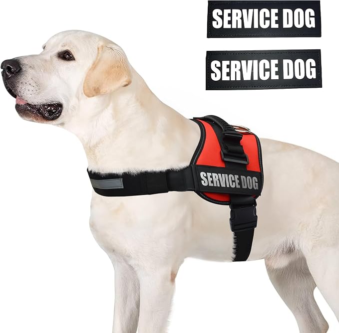 Service Dog Vest Harness – Reflective Service Animal Vest with Handle, No-Pull Adjustable Mesh Padding – XXS–XL – 2 Removable Patches. (Extra Large, Red)