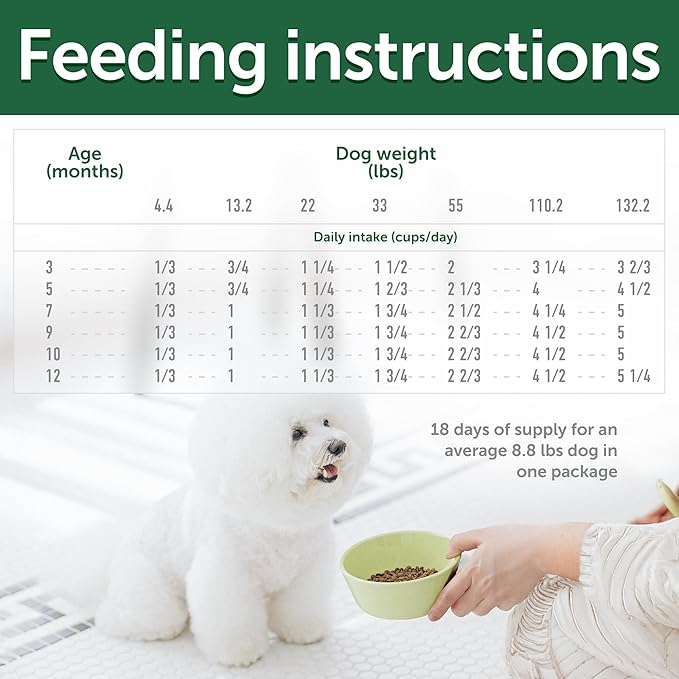 Nature's Protection Small & Large Breed Puppy Food Dry - Grain Free, High Protein, Anti-Tear Stain Formula - Dog Kibble for All Breeds with White or Light Fur (Superior Care - Salmon, 3.3 lb)