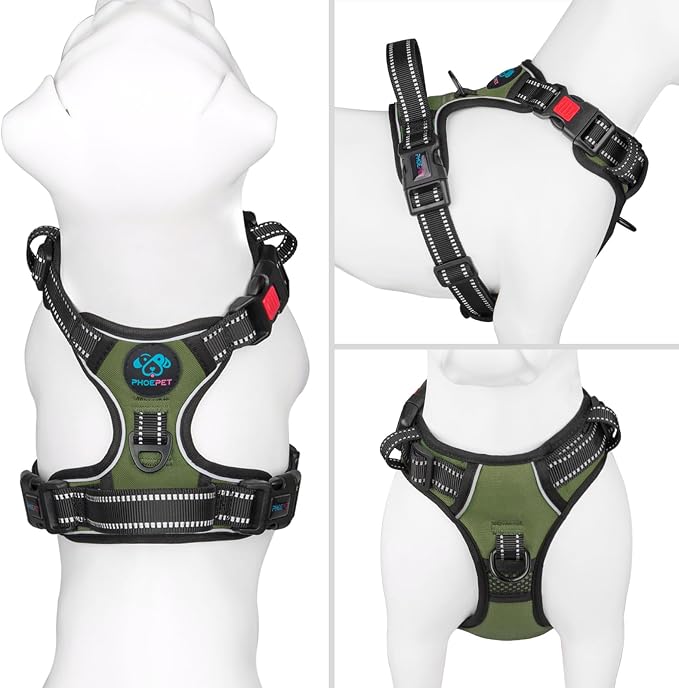 No Pull Dog Harness with Handle Front & Back Clip, Easy on | Lockable Snap Buckle at Neck, Adjustable Reflective Vest with Handle for Small Medium Large Dogs (XL, Misty Green)
