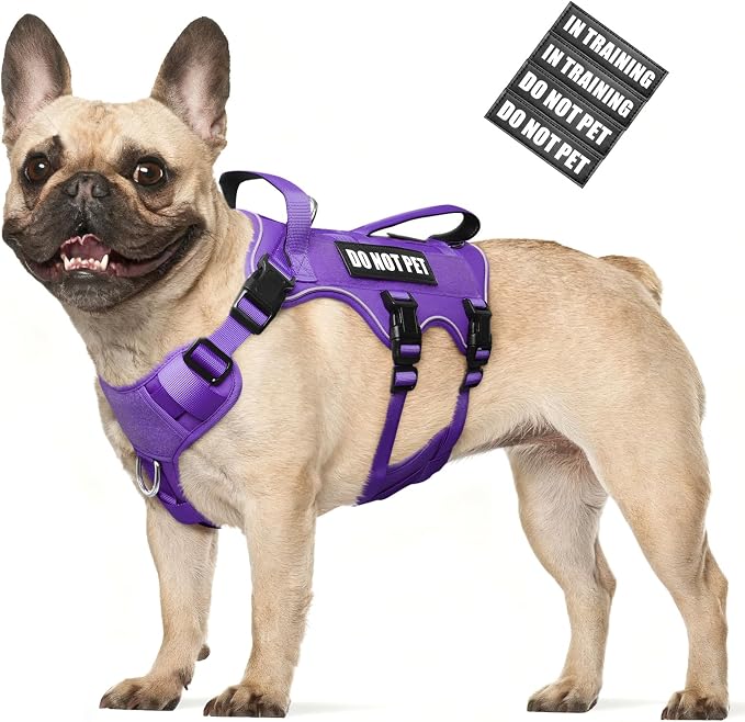 Escape Proof Dog Harness with Double Handle+4 Removable Patches | Service Working Molle Harness with Double Handle for Medium Dogs, Tactical Pet Reflective Vest for Walking Hiking Hunting