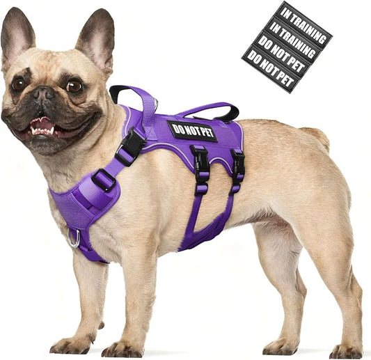 Escape Proof Dog Harness with Double Handle+4 Removable Patches | Service Working Molle Harness with Double Handle for Medium Dogs, Tactical Pet Reflective Vest for Walking Hiking Hunting