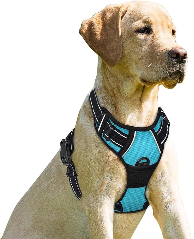 BARKBAY Dog Harness No Pull for Small Sized Dog Front Back Clips,Dog Vest | Soft Padded No Choke With Handle,Easy On&Off,Adjustable Reflective For Walking Training Running(Blue,XS)
