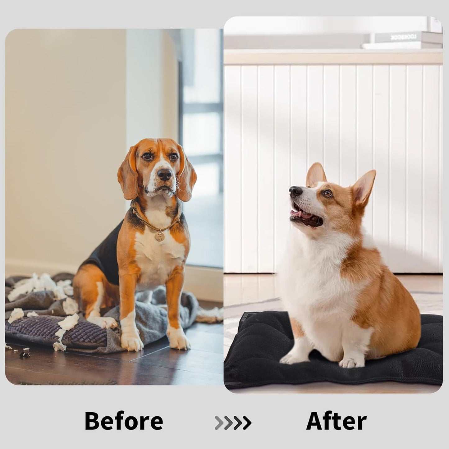 BALAPET Chew Proof Dog Bed with Metal Rivet Corner for Medium Dogs, Stable Kennel Pad Mat for Teething Puppy, Durable Indoor Outdoor Crate Pad for Medium Dog Crates, 35"x22"