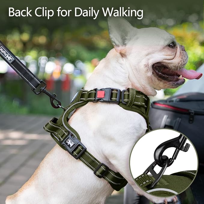 PoyPet No Pull Dog Harness, Reflective Vest with 2 Leash Clips & Handle | Lockable Neck Release Buckle, No Choke, Adjustable, Soft Padded, for Walking Training, Military Green, Small