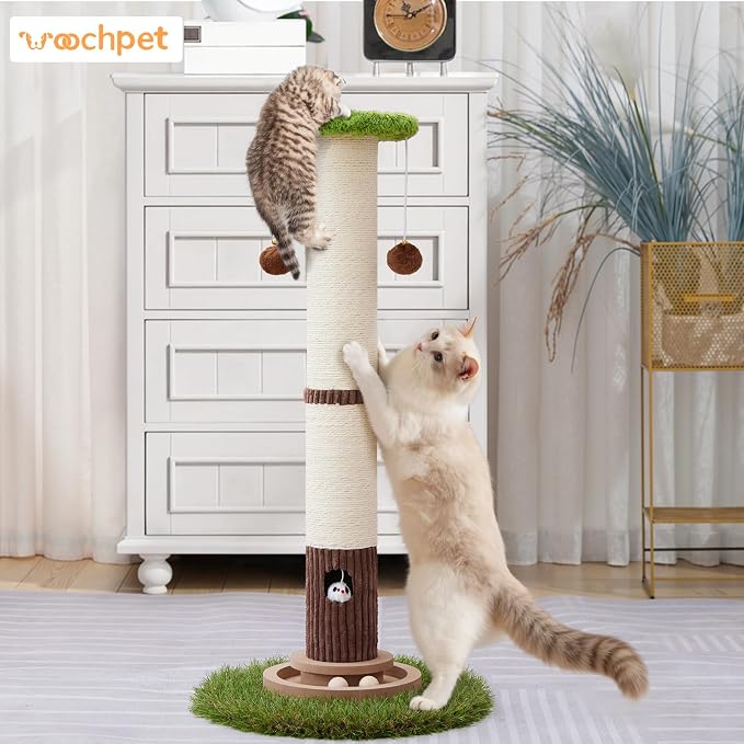 Woochpet Cat Scratching Post 34 Inch Tall Heavy Duty Sisal Scratcher with Interactive Track Mouse Toy Condo Top Jingle Balls for Indoor Kittens,Green