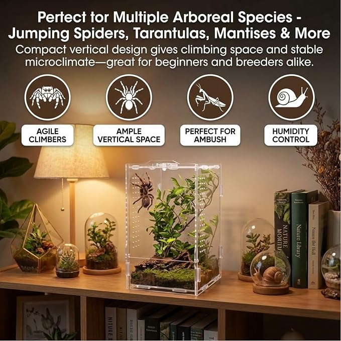 Acrylic Jumping Spider Enclosure: Arboreal Tarantula Enclosure | Front Opening Reptile Terrarium for Gecko Praying Mantis Snail - Lockable Dual-Side Ventilation Bug Habitat for Desk Decor