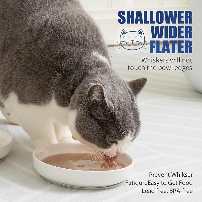 Lusifaco Shallow Cat Food Bowls, 5.9 Inch Wide Ceramic Cat Dish for Indoor Cat,Anti Whisker Fatigue Cat Dishes Set, Kitten Plates for Food and Water,Non-Slip Silicone Mat,3 Pack(Grey)