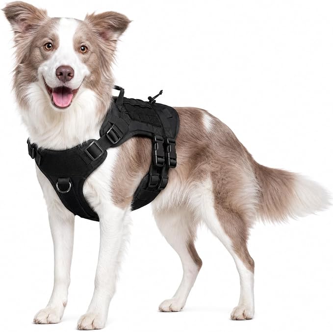 Tactical Dog Harness for Medium Dogs, Heavy Duty No Pull Dog Harness with Handle, Adjustable 6-Buckle Pet Vest for Pitbull, Border Collie, Boxer, Walking, Training, Hunting