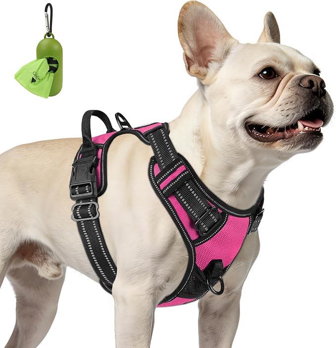 Joytale No Pull Dog Harness for Small Dogs, Front Clip, Hot Pink | Grab Handle for Instant Control, Padded & Adjustable Vest, Sturdy Metal D-Rings, for Safe Training & Daily Walking